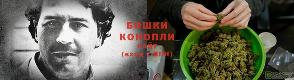 прущие грибы Арсеньев