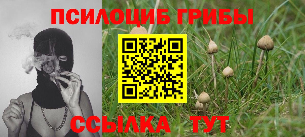 Псилоцибиновые грибы Magic Shrooms Долгопрудный