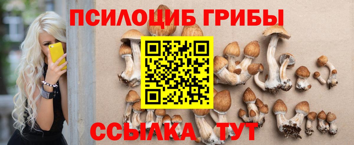 купить наркотик  Галлюциногенные грибы Psilocybine cubensis  Вход с VPN  Галлюциногенные грибы Psilocybe  Долгопрудный 